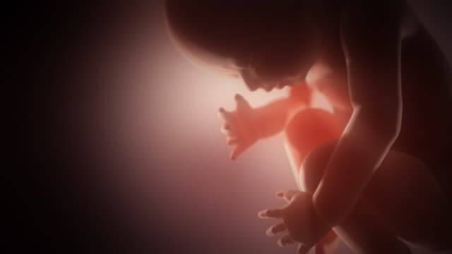 이 이미지는 임신 극초기증상 및 시기 관리 방법에 관한 포스팅을 설명하기 위한 보충사진입니다.