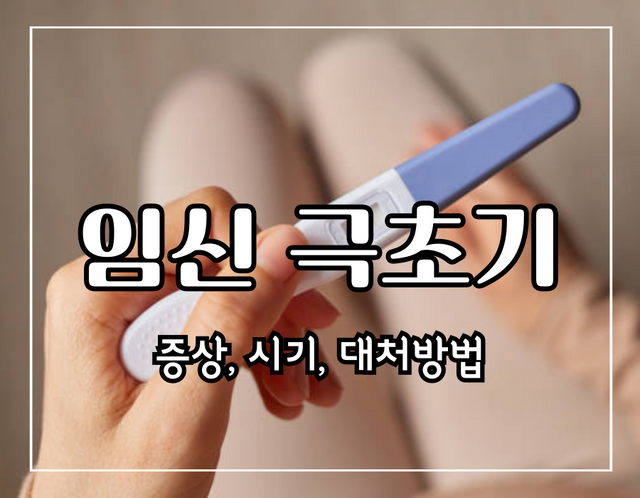 이 이미지는 임신 극초기 증상에 관한 포스팅의 대표 이미지입니다.