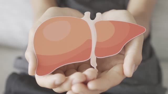 간암 초기증상 및 수치 및 간암에 좋은 음식