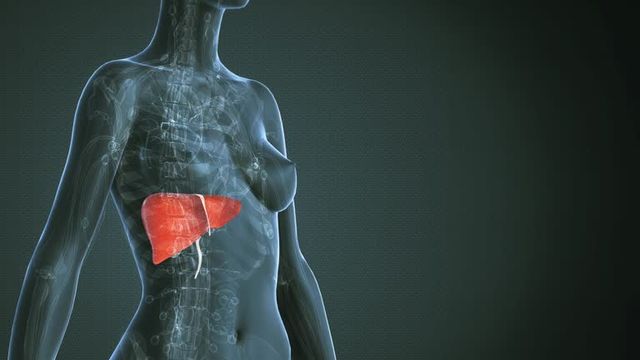 간암 초기증상 및 수치 및 간암에 좋은 음식