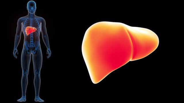 간암 초기증상 및 수치 및 간암에 좋은 음식