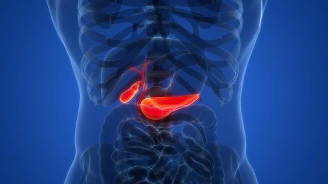 간암 초기증상 및 수치 및 간암에 좋은 음식