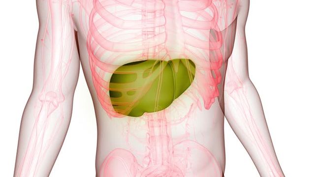 간암 초기증상 및 수치 및 간암에 좋은 음식