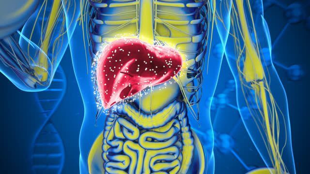 간암 초기증상 및 수치 및 간암에 좋은 음식
