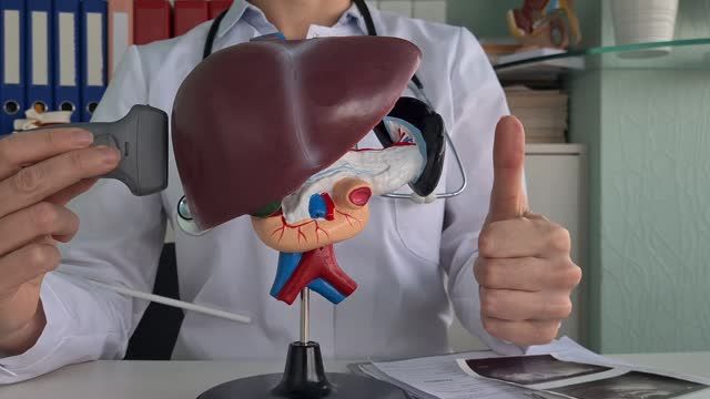 간암 초기증상 및 수치 및 간암에 좋은 음식