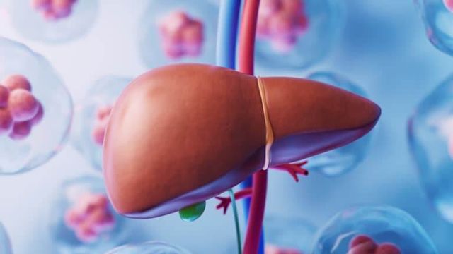 간암 초기증상 및 수치 및 간암에 좋은 음식