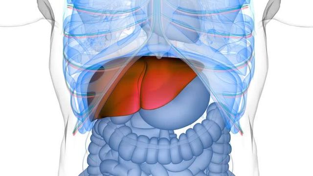 간암 초기증상 및 수치 및 간암에 좋은 음식