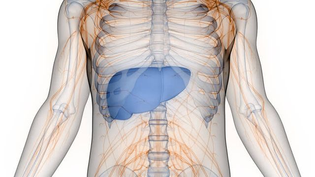 간암 초기증상 및 수치 및 간암에 좋은 음식