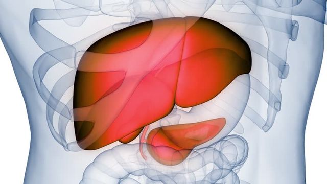 간암 초기증상 및 수치 및 간암에 좋은 음식