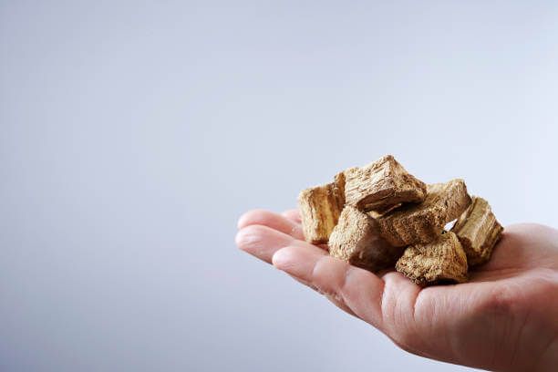 이 이미지는 칡즙 효능에 대한 포스팅을 설명하기 위한 참고 사진입니다.