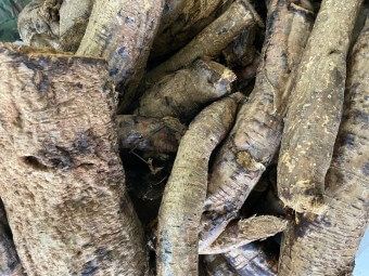 이 이미지는 칡즙 효능에 대한 포스팅을 설명하기 위한 참고 사진입니다.