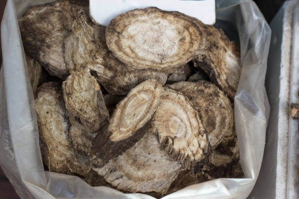 이 이미지는 칡즙 효능에 대한 포스팅을 설명하기 위한 참고 사진입니다.