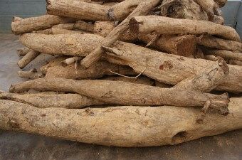 이 이미지는 칡즙 효능에 대한 포스팅을 설명하기 위한 참고 사진입니다.