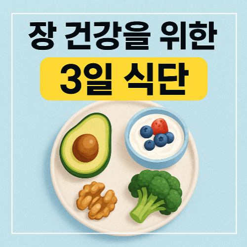 장 건강을 위한 3일 식단 썸네일 이미지