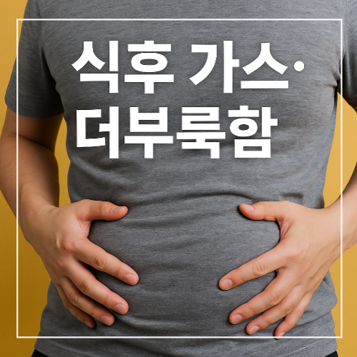 식후 가스·더부룩함 장내 발효 원인과 자연 해독 루틴 썸네일 이미지