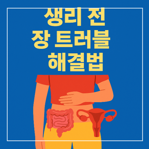 생리 전 장 트러블 해결법 썸네일 이미지