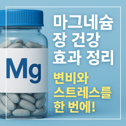 마그네슘 장 건강 효과 정리 썸네일 이미지