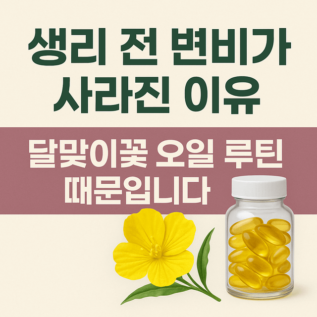 생리 전 변비가 사라진 이유 달맞이꽃 오일 루틴 때문입니다 썸네일 이미지