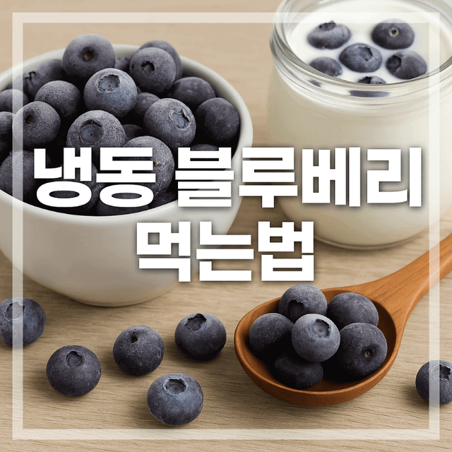 냉동 블루베리 건강하게 먹기
