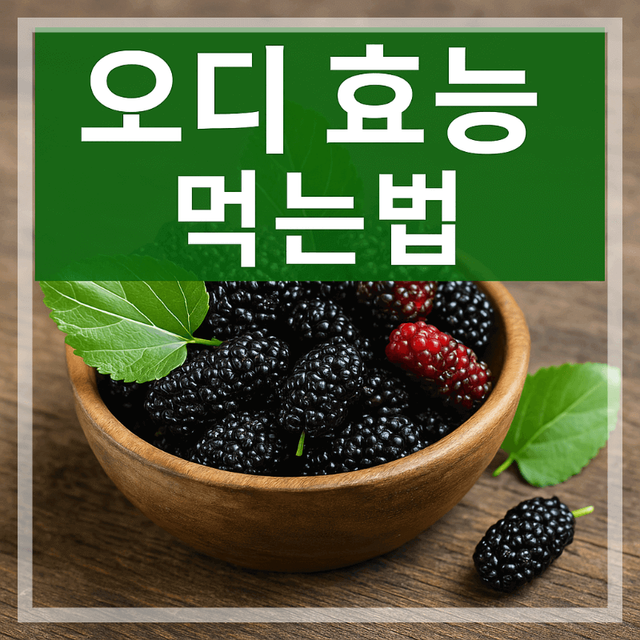 오디 효능과 먹는 법 정보
