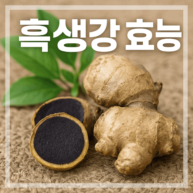 흑생강 효능 뿌리 사진