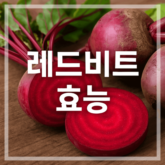 레드비트 효능 비주얼 컷