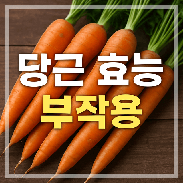 당근 효능과 부작용 요약