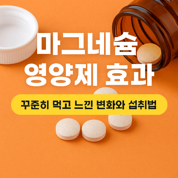 마그네슘 영양제 효과와 섭취법 썸네일