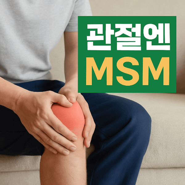 관절 부위에 손을 얹은 모습과 '관절엔 MSM' 텍스트