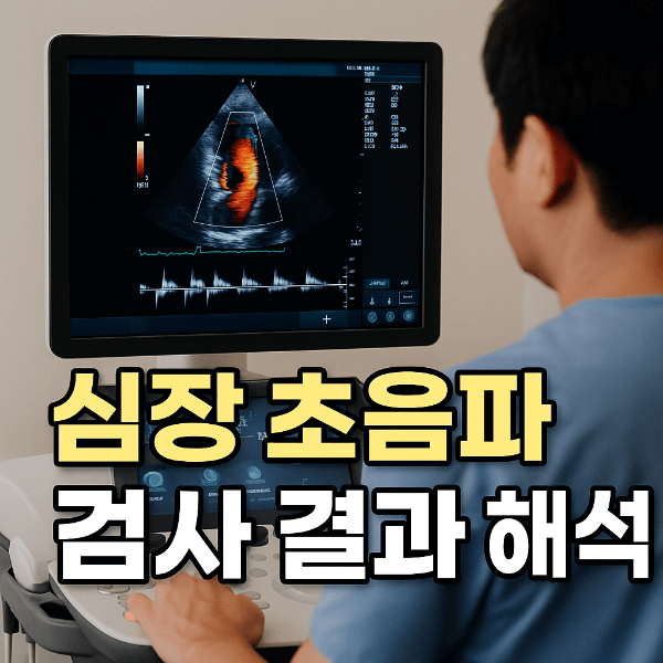 심장 초음파 검사 결과 해석 썸네일