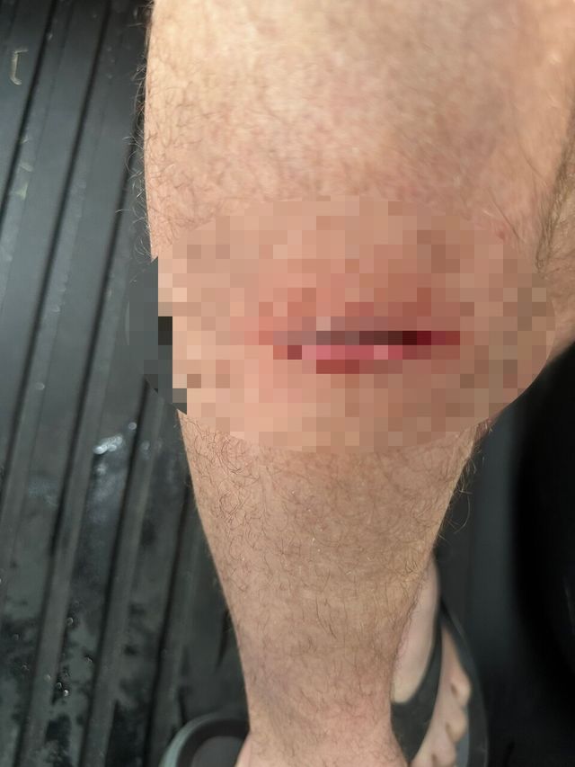 출처=사이버트럭오너스클럽 포럼