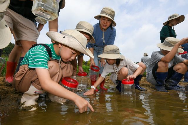 현대모비스, 미호종개 복원 및 방류 행사
