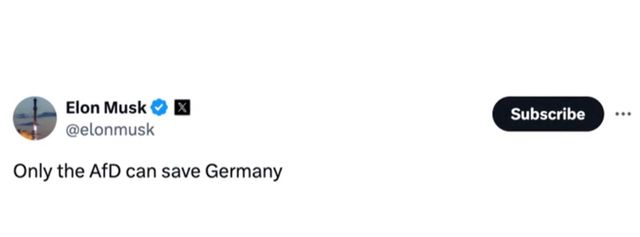 일론 머스크가 독일 극우정단 AfD에 대한 지지를 선언했다.
