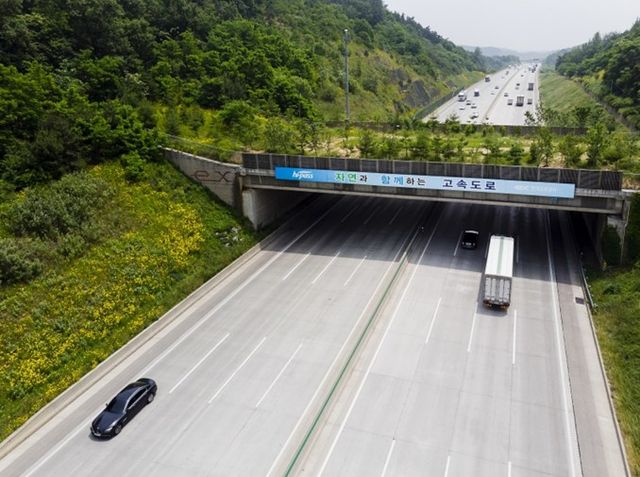 호남선 187.9k 육교형 생태통로 / 사진:한국도로공사