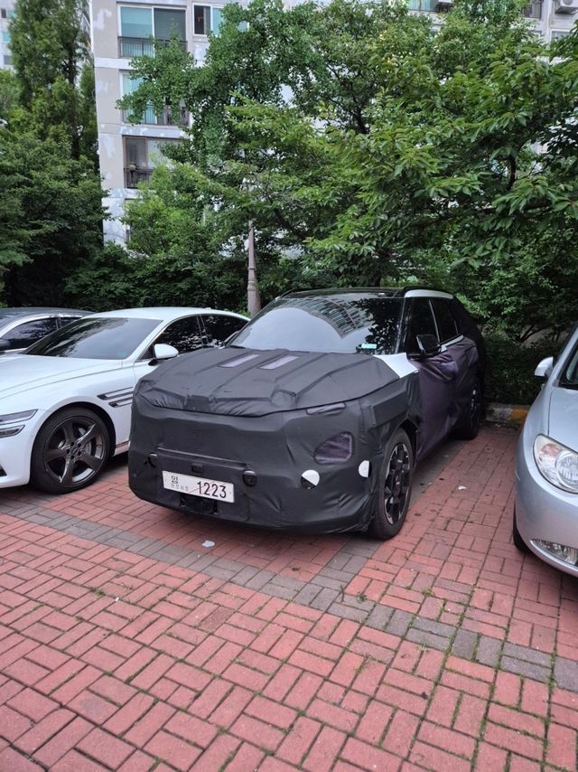 출처:오토스파이넷