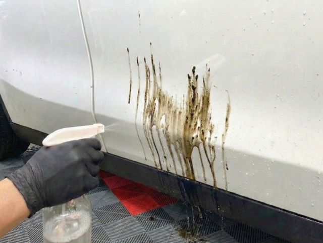 출처=B1불스원케어