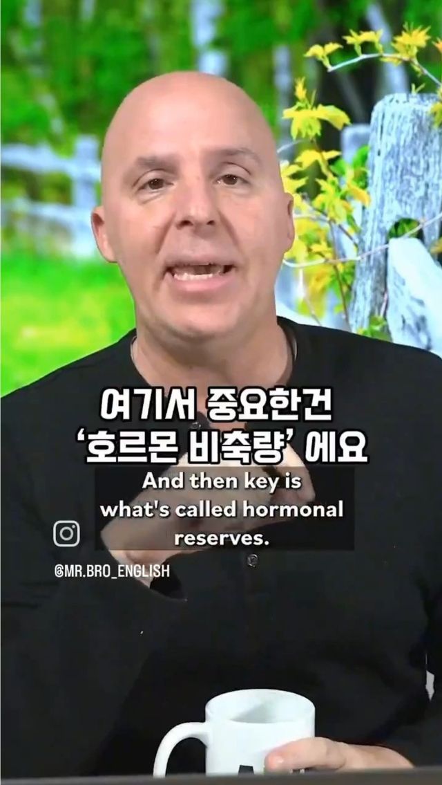 17296481861808.jpeg