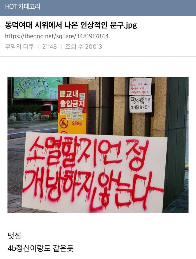 17313769029425.jpeg