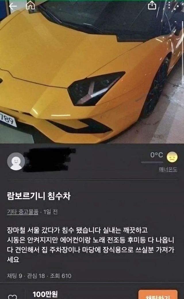 17344867678608.jpeg
