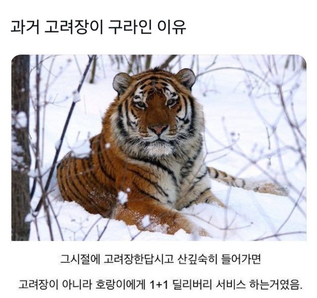 17351779661787.jpeg