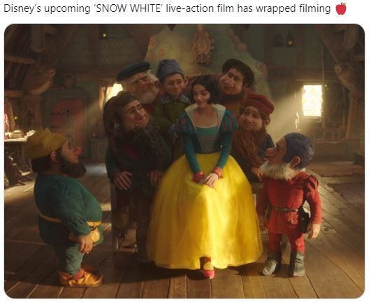17195336131829.jpeg