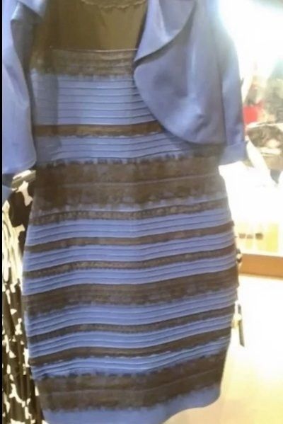 17242939023642.jpeg