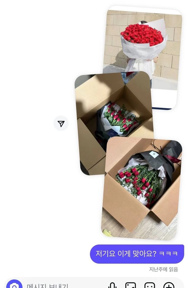 17640290816309.jpeg