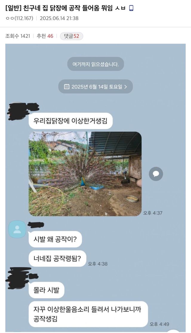 17651508629185.jpeg