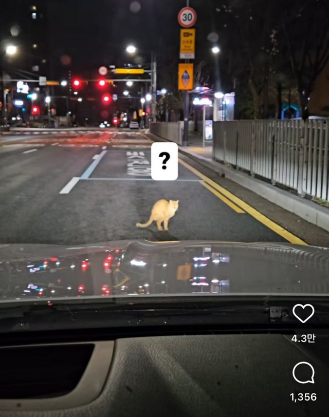 17432099467627.jpeg