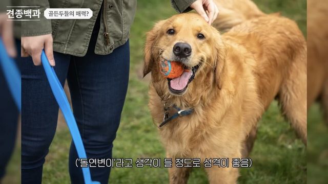 1750210298626.jpeg
