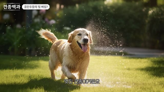 17502102968675.jpeg
