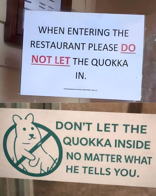 17790713218756.jpeg