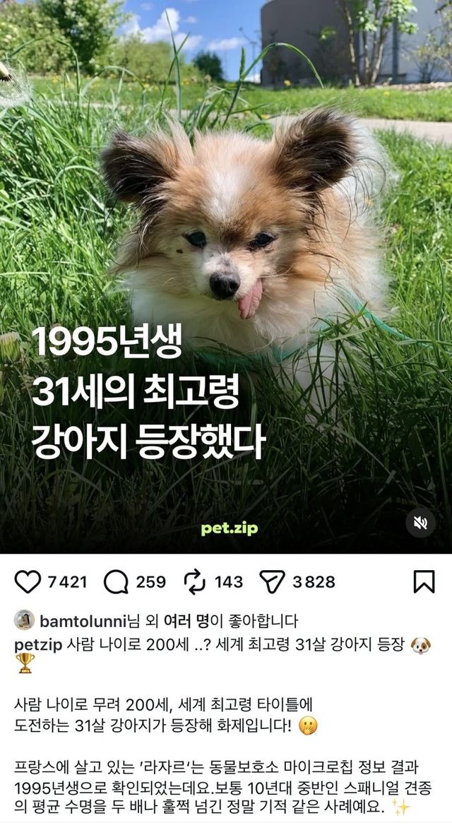 17790968865478.jpeg