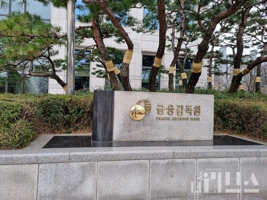금융감독원. [사진=임서우 기자]